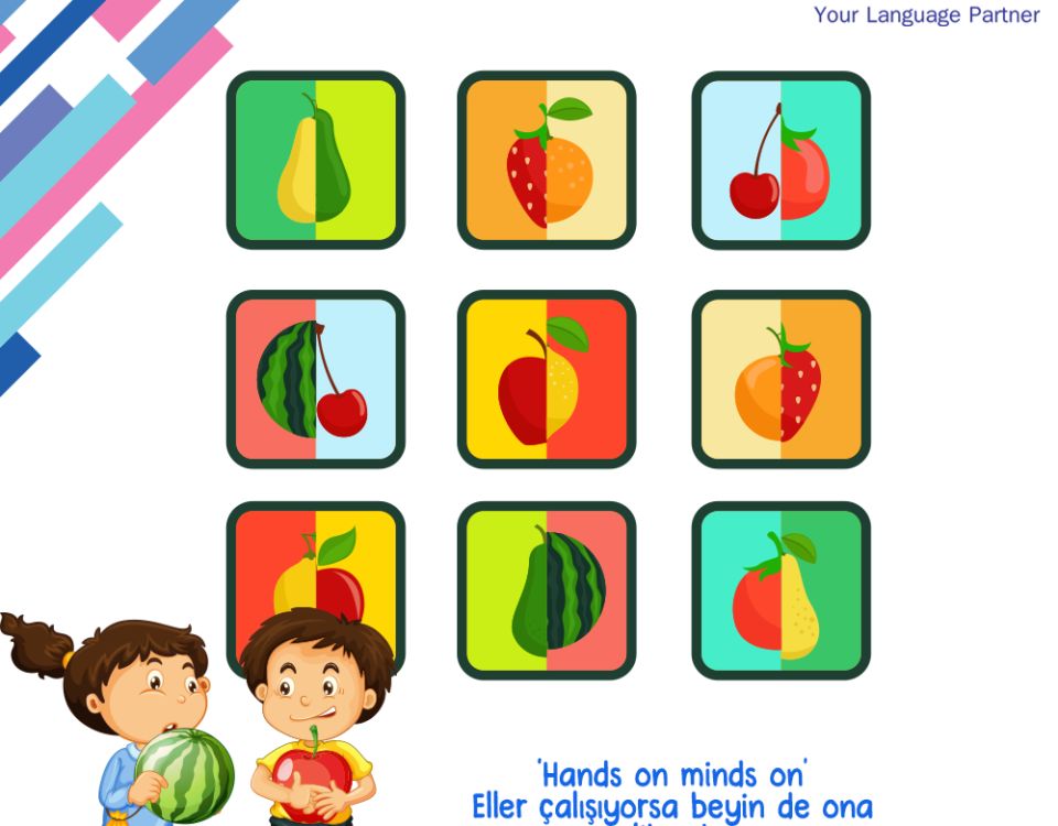<h4>Okul Öncesi İngilizce Eğitiminde Meyveler (Fruits) Konusu Nasıl İşlenir?<h4>